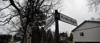 Grönt ljus för tvåspråkiga gatuskyltar