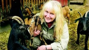 Djurparkens morsa - på fredag han Silvy Bohlin fira att hon jobbat 40 år i Kolmårdens djurpark. På bilden tillsammans med några av sina skyddslingar.