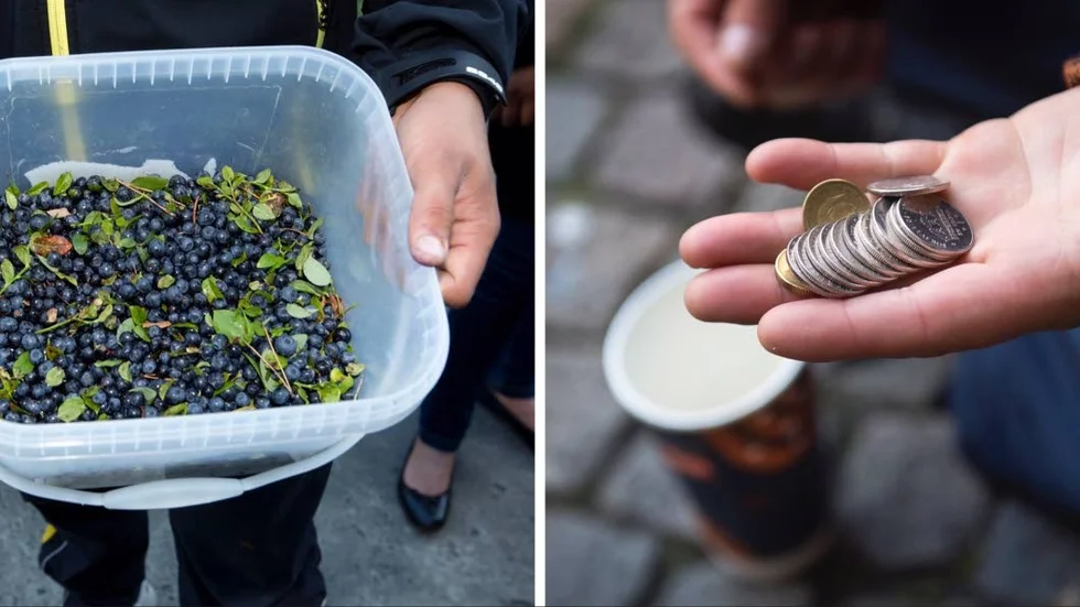 REGLER. Varför får man tigga men inte sälja bär utanför mataffären undrar "2xJ" och får Svar direkt av Hanrik Örtenvik, kommunikatör Coop Norrbotten.