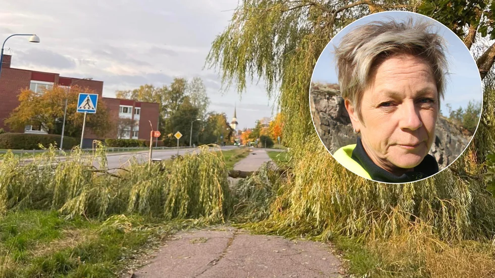 Marie Ollman säger att förutom trädet som välte i Mariefred har kommunen inte fått in några större anmälningar efter blåsovädret.