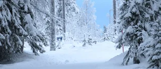 Vinter, sol och lämplig temperatur