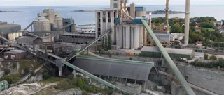 Krattar vi manegen för en multinationell koncern?