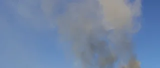 Brand i reservat i Göteborg under kontroll
