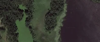 Gård i Västervik får ny ägare