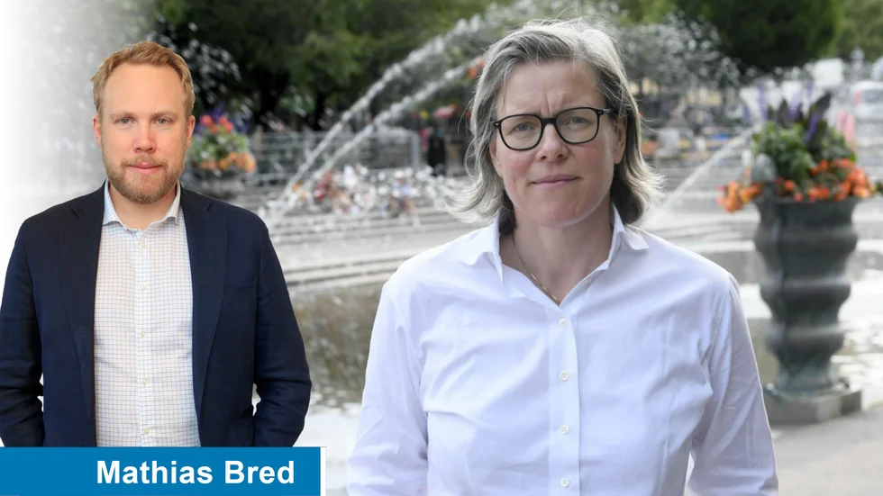 Författaren Lena Andersson har retat gallfeber på halva Sverige genom att påstå att hungrande barn inte beror på fattigdom.
