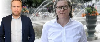 Lena Andersson har rätt: det råder inte hungersnöd i Sverige