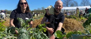Jacob och Anne startar egen verksamhet på ön