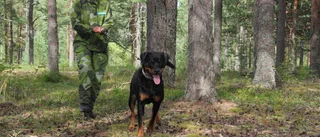 Patrullhundar tävlar i SM