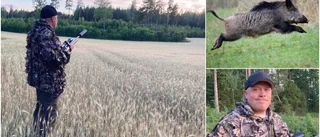 Efter pådraget i Marviken: Jägaren vill lugna – nu pågår jakt