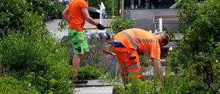 Upphandlingar bidrar till arbetslivskriminalitet