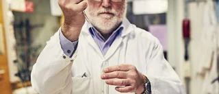 Adolf Gogoll (1957 – 2023)    