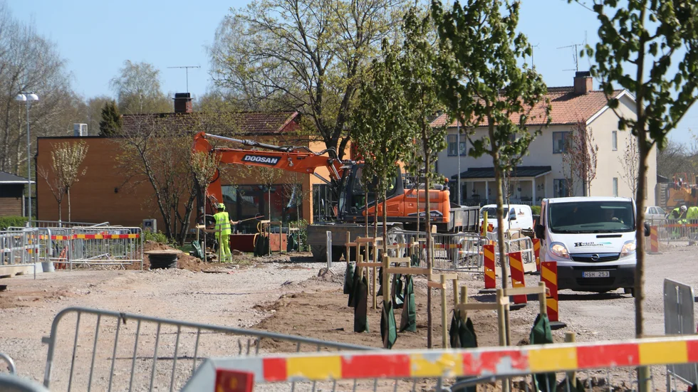 Träden kommer att växa till sig och skapa en fin entre till Hultsfred, hoppas Simon Råsbacken på ÖSK. Det är träd av olika sorter som planteras utmed Norra Oskarsgatan.