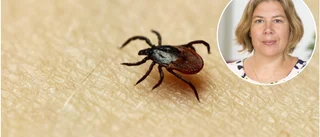 Därför är det viktigt att du skickar in ditt fästingfynd