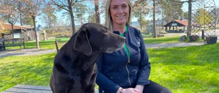 Regnet ställde till det för campingarna: Vädret inte på vår sida