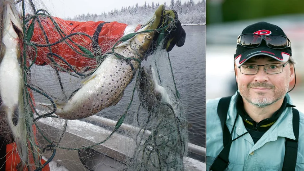 Dan Blomkvist, länsfiskekonsulent på länsstyrelsen, säger att yrkesfiskarna inte påverkas av tremetersförbudet.