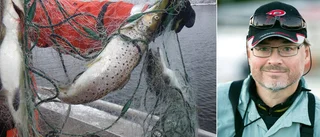 Yrkesfiskarna berörs inte av förbud