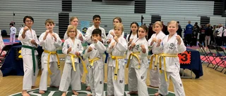 Medaljsuccé för Eskilstuna ITF Taekwon-Do på STL och Svea Cup