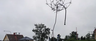 Stulet verk hamnade i kanalen