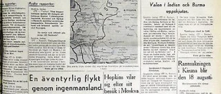 Slickande ko nära förstöra kvällsorientering
