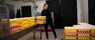 Svåra förhållanden för lokala äggproducenter