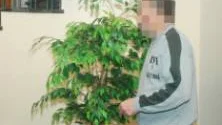 Den 50-årige mannen från Seskarö är nu häktad på sannolika  skäl misstäkt för mordbrand. Han förnekar brott. FOTO: linda danhall