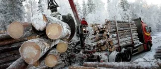Skogsägarna ser ljust på framtiden