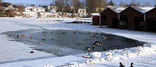 Trångbott vattenhål i Vättern