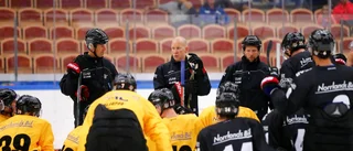Luleå Hockey-tränarens plan för nye stjärnan