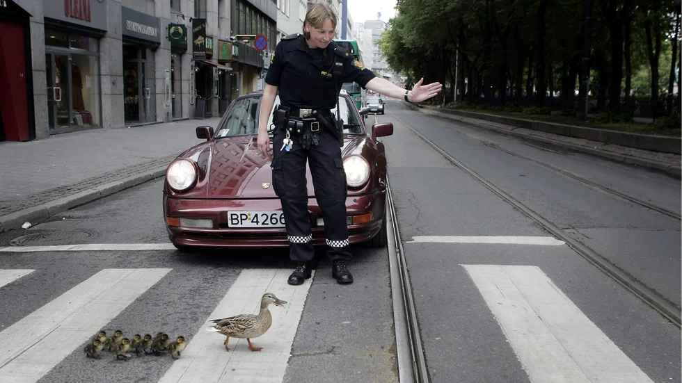 Andafamiljen får poliseskort över gatan. Den händelsen inträffade i Oslo.