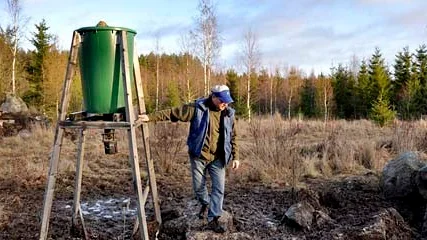 Per-Ola Lööfs jaktlag har en foderplats för vildsvin nordost om Tierp.