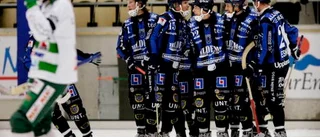 "Rosa" hyllas efter comebacken