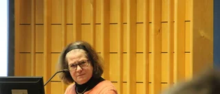 Bergman kommer att sakna plexutskottet