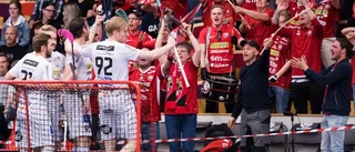 Klintstens blodiga målvaktsfingrar