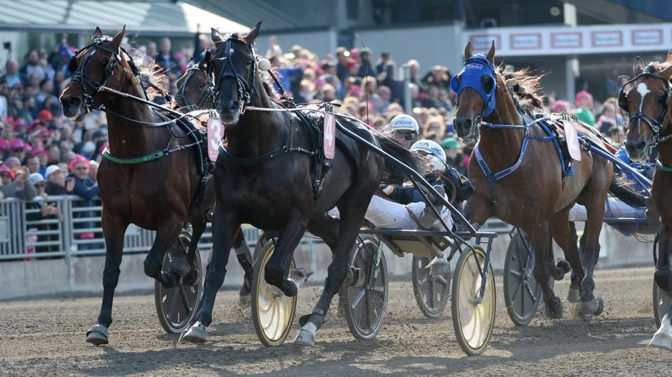 Arkivbild. Bild från Elitloppet 2016.