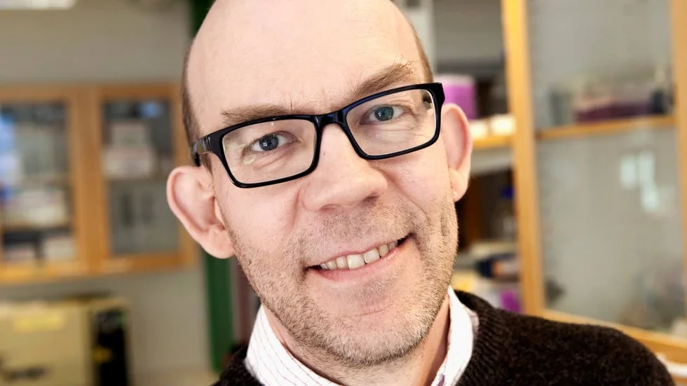 Hans Ellegren