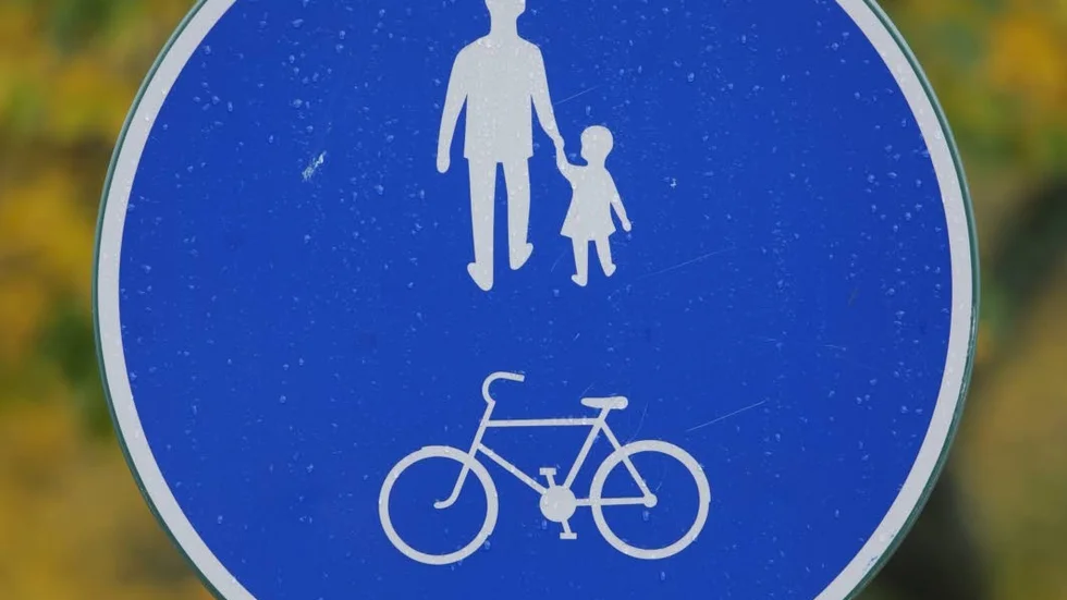 Hur många träd har sågats ner för att ge plats åt cykelbanor, undrar Sigge Fagerström.