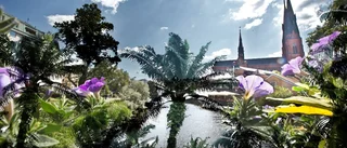 Meteorologen: Uppsala är som Sveriges Sri Lanka