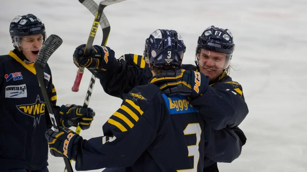 Wings har gjort klart med en ny tränare och målet är att ta sig tillbaka till division I direkt.