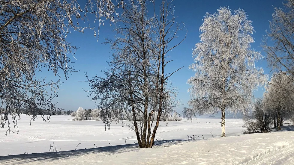 Promenad vid Piteälven.