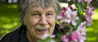 Westerbergs alla dockor ställs ut