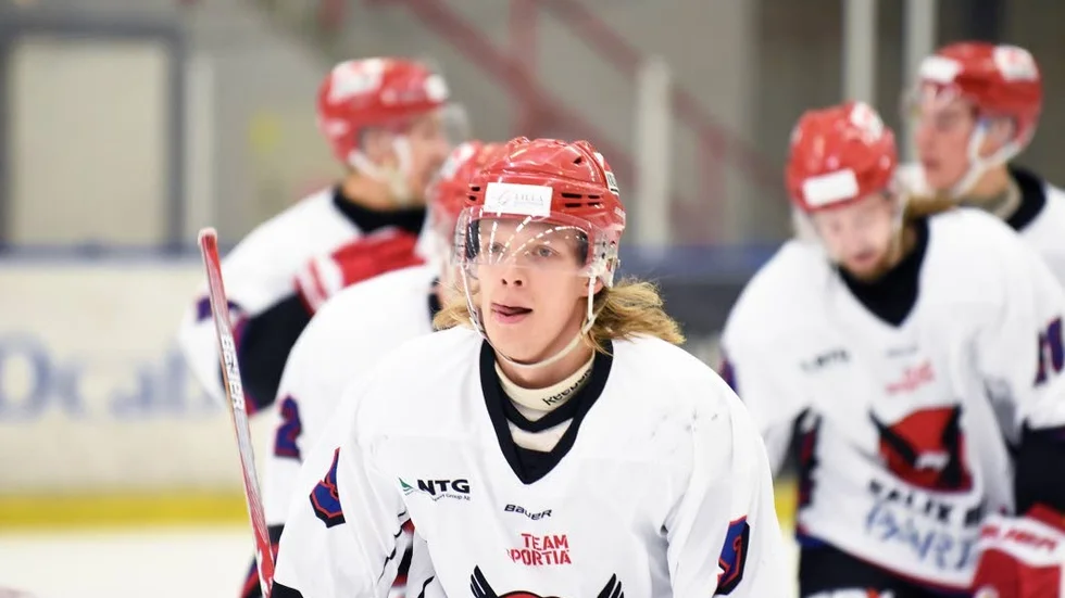 William Juntto, Kalix Hockey