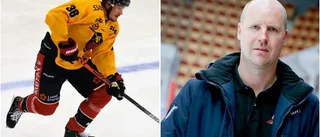 Så agerar Luleå Hockey efter skadebeskedet