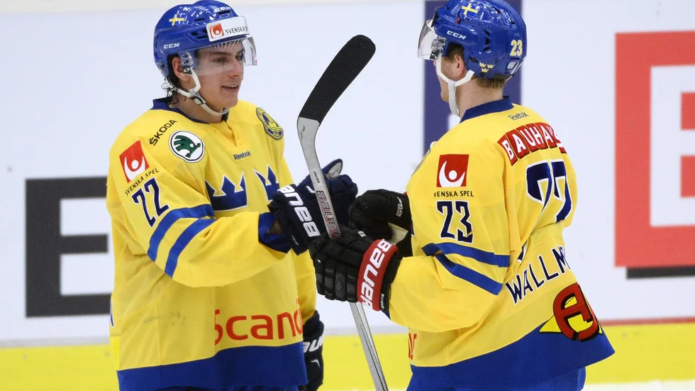 Både André Petersson och Lucas Wallmark har brutit sina kontrakt med sina ryska klubbar. Arkivbild.