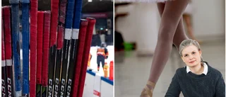 Visst finns likheter mellan hockey och kultur ■ "Skillnaden är strävan efter pengar"