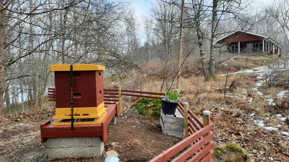 En bikupa och en liten bigård har byggts upp i Lunddalen. Uppe till höger skymtar huset i Lunddalen.