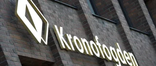 Avhyser ockupanter från tomt