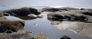 "Staten skiter i dina känslor"