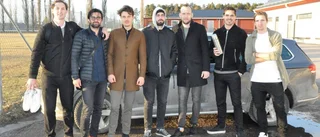 Räddade häst - körde i diket