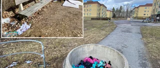 Hundbajspåsar dumpas i bostadsområdet – många frustrerade: "Folk måste plocka upp efter sig"