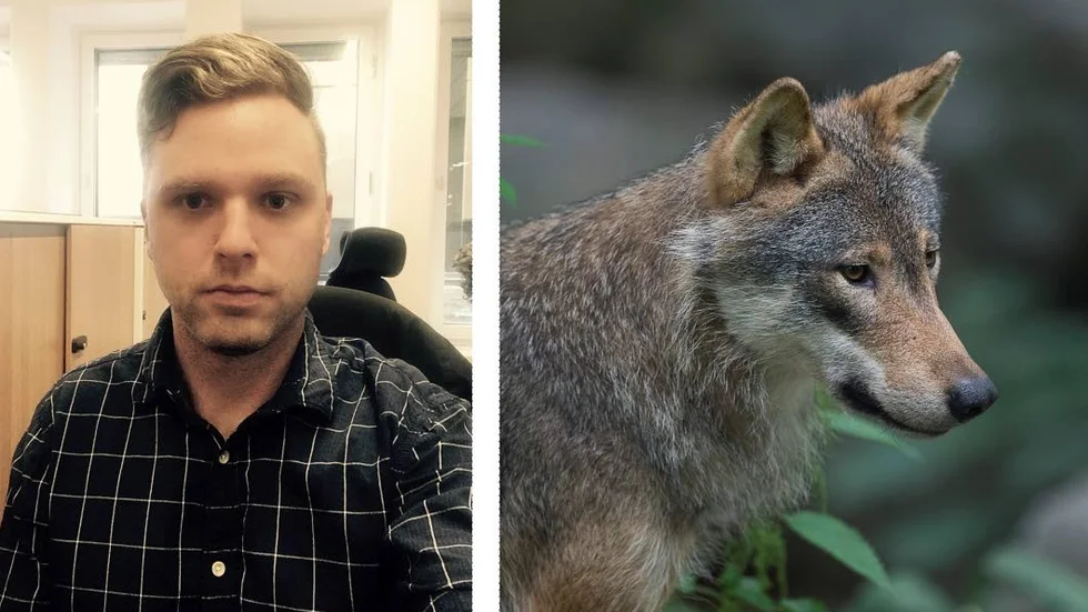 Sebastian Olofsson, vilt- och rovdjurshandläggare på länsstyrelsen i Uppsala